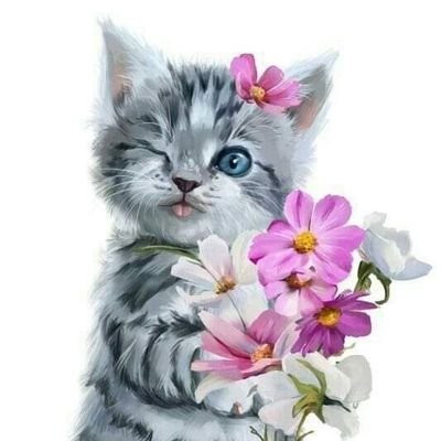 olvif5's profile picture. 