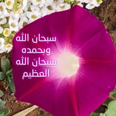 سالم عودةأبوجنيب العطوي(أبومالك)تبوك(ربي إني لماأنزلت إلي من خيرفقير)ربنالاتزغ قلوبنابعد إذهديتنا وهب لنامن لدنك رحمة(كتاباتي بالمفضلة)اللهم احشرنا مع محمدوصحبه