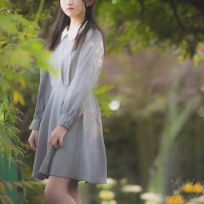 nokochan1224 Profile Picture