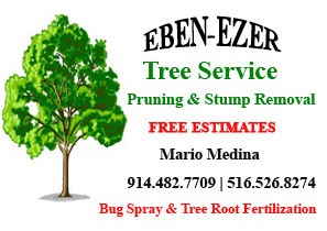 Ebenezer Tree Service, servicing the Scarsdale, Bronxville and Ardsley community for their tree service needs. Call us 24 hours Emergency.