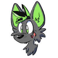 Paco (@pacogreywolf) 's Twitter Profile