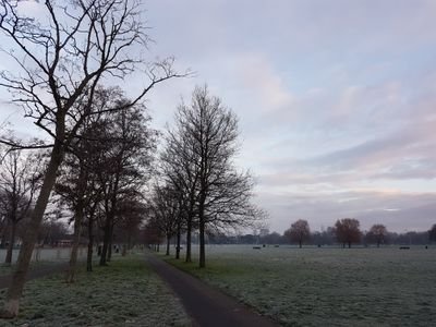 sophiej11's profile picture. 