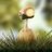 Fluffee_Bunny's profile image