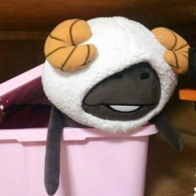 たんごさんのプロフィール画像