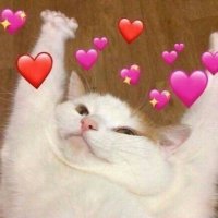 LEAVE (@leavewoey) 's Twitter Profile