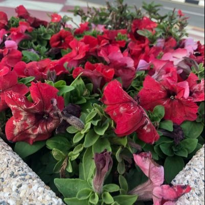 MzRwj9X7ICOgcn4's profile picture. 