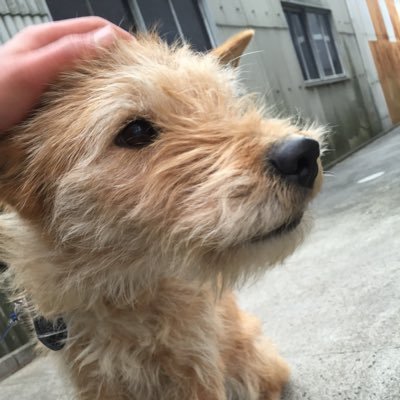 鈴木 顕人 Omkaehpfd6zpxpm Twitter 鈴木 顕人 Omkaehpfd6zpxpm Twitter