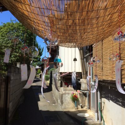 njFyT1SErnKCaiT's profile picture. 