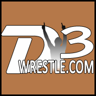 d3wrestle.com