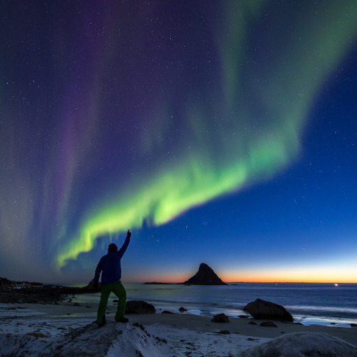 vesteraling's profile picture. Northern lights photographer, living in the arctic part of Norway.