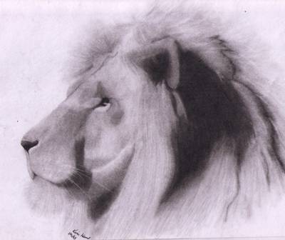 kimhund's profile picture. 