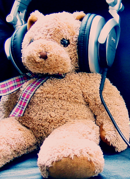 The Only Teddy Online Taking niggas Girls away HaHA Watch Out 50 CENT
Kiss My Bear A**, Get It Bear A**