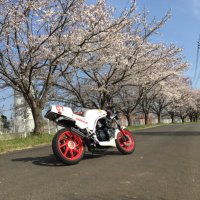 はせぴょん丸Z (@rz2504l3nc17) 's Twitter Profile Photo はせぴょん丸Z (@rz2504l3nc17) 's Twitter Profile Photo