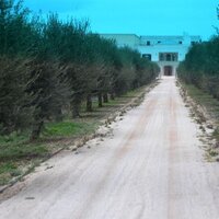 Wines of Puglia (@winesofpuglia) 's Twitter Profile