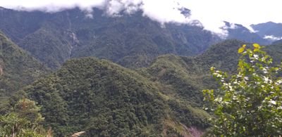 MmAllex's profile picture. yesus is my lord