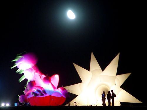 nancycordua's profile picture. 