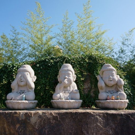 summit7178's profile picture. 천안아리