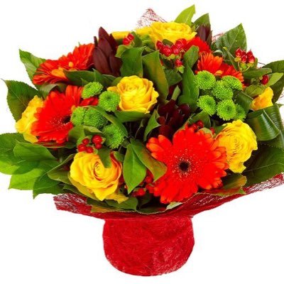 hopekale10's profile picture. I am. Positive person