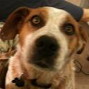 Mark Kuyper - @MAKuyper - Twitter