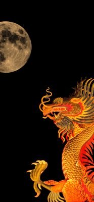 CewGqSPHbQ8nBPg's profile picture. 