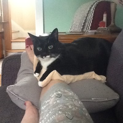 CanadianCatMom's profile picture. Mom, gardener, retired teacher, believer of taking care of each other and the right of everyone to have equitable opportunities