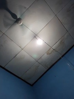 Fujitec6's profile picture. 