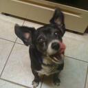 David Bacus - @SucabStunna - Twitter