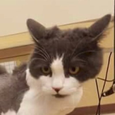 MSacirte's profile picture. Dale soy #HolyArmy #EagleSquad