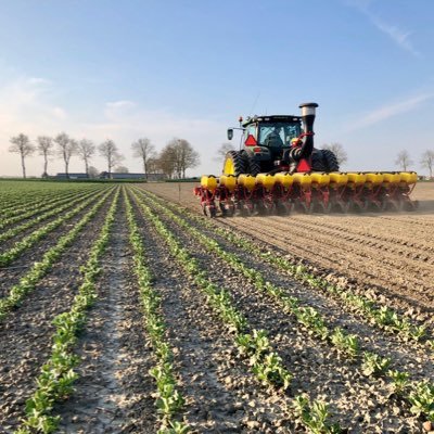 SSiebren's profile picture. 