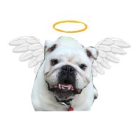 MAGOO(@MagooCrew) 's Twitter Profile Photo