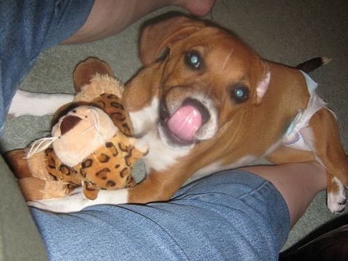 test624's profile picture. 