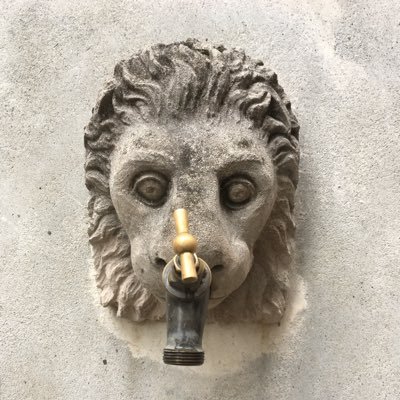 kiki_hervetica's profile picture. 