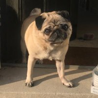 BisleyB (@bisleybb) 's Twitter Profile