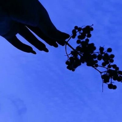 iixxpp69's profile picture. ‏‏‏‏الامهات مدن لا تنام.