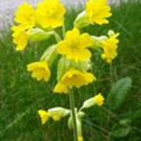 Gordon Gregory (@gnfg) 's Twitter Profile