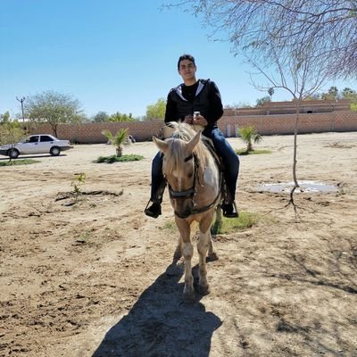 Alexreydur's profile picture. 