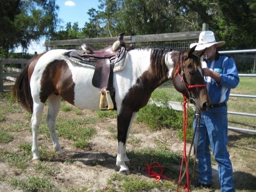 StephenWayne Hampton Profile