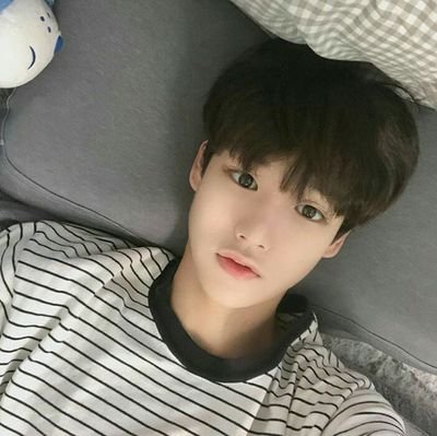 {I'm Fine...Save Me} • ♡ : JINO : ♡
{Nicole la mienne, ma meilleure amie. La seule je t'aime}
{Hansol mon doudou} • {Inho} • {Chan} • {Kaito} • {Yong}