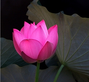 malilath's profile picture. A synergy of healing therapies from East&West, a sublimely natural environment, inspired healthy cuisine, holistic fitness, group retreats & wellness programs.