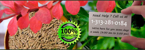 jenny9162's profile picture. Vitiligo is a chronic skin disease that causes loss of pigment