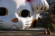 tyoiwarujiityan's profile picture. 