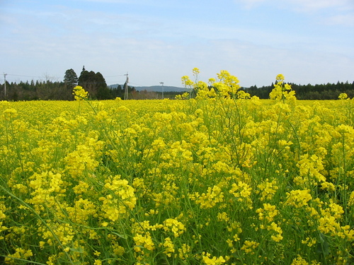 24_hr's profile picture. 2日連続で7時間未満の睡眠はNG