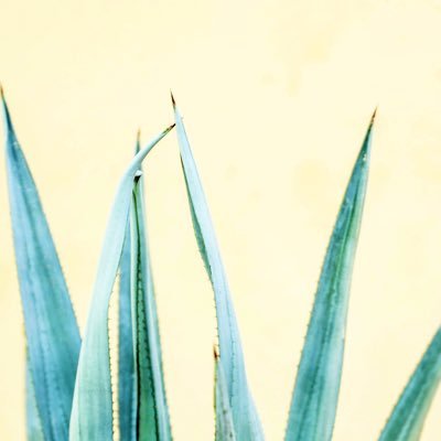 mi_travels's profile picture. Wife. Mother. Photographer. Educator. ASL advocate.