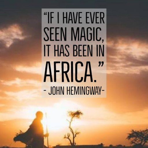 Loving the adventure called life, Africa changed me, lions and other felines, SafariLIVE, soulmate friends, beaches and oceans and all things magical.