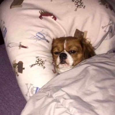 Yaaas_meeen's profile picture. 