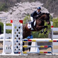 立教大学体育会馬術部 (@rikkyobajutsubu) Twitter profile photo