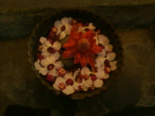 abigailcopiosa's profile picture. I am an Engineer, Entrepreneur, Blogger, and  I love working online at home as an Affiliate Marketer.