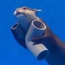 Art Vaughn - @artvaughnmusic - Twitter