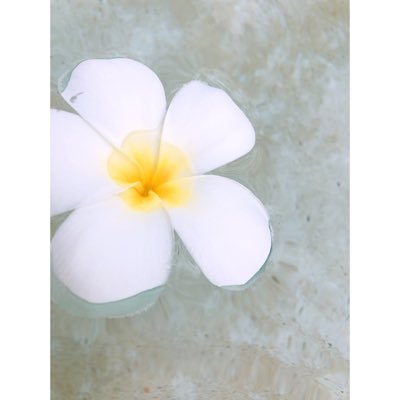 0311hrk09's profile picture. Instagram▶︎▷https://t.co/04gW6eM9HQ( ¨̮ )♡