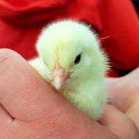 Michelle Johns (@michjohns85) 's Twitter Profile